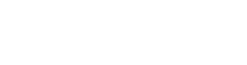 Logo Footer